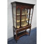 AN EDWARDIAN MAHOGANY AND INLAID SINGLE DOOR DISPLAY CABINET, with two fixed shelves, above one long