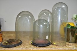 FOUR VINTAGE GLASS DOMES WITH TWO WOODEN BASES comprising two circular based domes with wooden