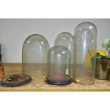 FOUR VINTAGE GLASS DOMES WITH TWO WOODEN BASES comprising two circular based domes with wooden