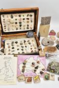 AN ASSORTMENT OF SEMI-PRECIOUS GEMSTONES, collectable gemstone and fossil examples such as tumble