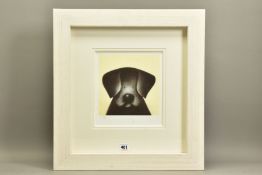 DOUG HYDE (BRITISH 1972) 'MONTY' A SIGNED LIMITED EDITION PRINT OF A DOG, 189/395 with