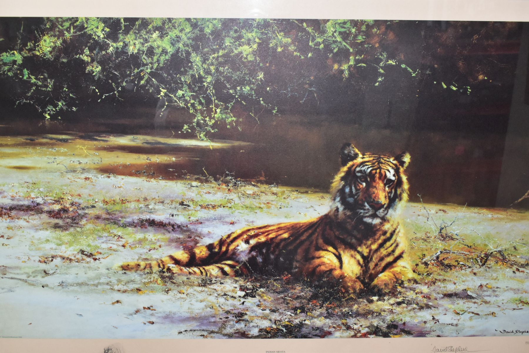 DAVID SHEPHERD (BRITISH 1930-2017) 'Indian Siesta', a signed Limited Edition print of a Tiger - Image 5 of 6