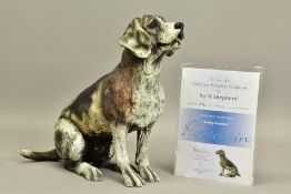 APRIL SHEPHERD (BRITISH CONTEMPORARY) 'PAYING ATTENTION', a limited edition sculpture of a dog 75/