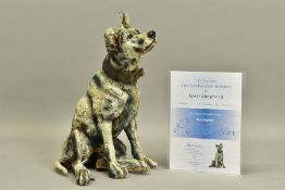 APRIL SHEPHERD (BRITISH CONTEMPORARY) 'EVER HOPEFUL' an artist proof sculpture of a dog 11/30,