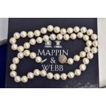 A STRAND OF CULTURED PEARLS, fifty three white pearls with a slightly pink hue measuring