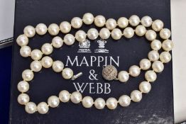 A STRAND OF CULTURED PEARLS, fifty three white pearls with a slightly pink hue measuring