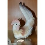 A LLADRO COCKEREL/ROOSTER, no4588, designed by Antonio Ruiz, height 22.5cm (Condition report: no