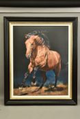 DEBBIE BOON (BRITISH CONTEMPORARY) ' CHASING THE WIND', A STUDY OF A HORSE, signed limited edition