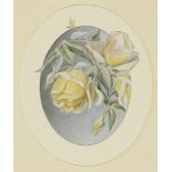 Mary Elizabeth Duffield RI, British 1819-1914- Floral studies; watercolours, four, 16.5x14cm (max.):