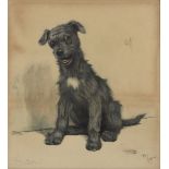 Cecil Charles Windsor Aldin RBA, British 1870-1935- A Thoroughbred Mongrel; lithograph, signed in