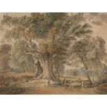 Circle of Paul Sandby RA, British 1731-1809- Ancient Beech Tree, Windsor Great Park; pencil,