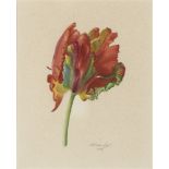 Graham Rust, British b.1942- Parrot Tulip; watercolour and bodycolour, signed and dated 1994, 19.