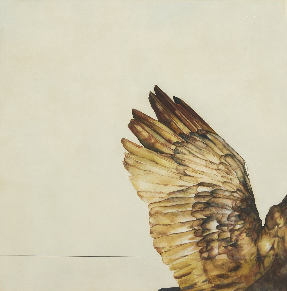 Elizabeth Butterworth, British b.1949- Eagle's wing; watercolour, 36x36cm (ARR) Provenance: