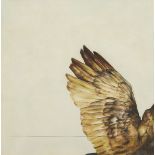 Elizabeth Butterworth, British b.1949- Eagle's wing; watercolour, 36x36cm (ARR) Provenance: