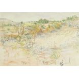 Anthony Gross CBE RA, British 1905-1984- Hillside in Autumn; pen, ink and watercolour, signed and