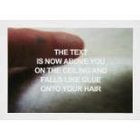 Laure Prouvost, French b.1978- Like Glue, 2010; c-type matt photographic print on Fujicolour