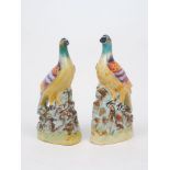A pair of Staffordshire birds of paradise, circa. 1850-60, each polychrome bird modelled perched