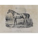 After Victor Adam, French 1801-1866- Le Leopold; Monitor; Phantom; Moser & Le Persan (plates 5, 6,