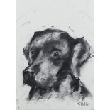 J Hollis, British, late 20th/early 21st century- Portrait of Labrador Retriever; charcoal on