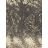 Richard Strauss, German, 20th century- Tree scene; charcoal, bears an inscription on the reverse