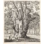 Jacob George Strutt, British 1784-1867- The Great Yew at Forlingal: Maple at Boldre, in the New