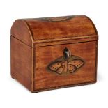 A Regency inlaid satinwood dome-top tea caddy, inlaid with butterfly and shell motifs, single