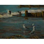 David Aldus, Welsh b.1941- Seagulls; oil on canvas board, signed, 27x34cm. Exhibited: RSMA, at the