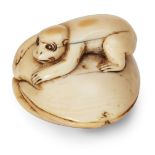 A Japanese Ivory netsuke, 18th century, carved as a monkey clambering over a giant clam, 4cm