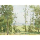 Russian School, mid-late 20th century- Landscape with trees; oil on canvas board, signed in