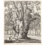 Jacob George Strutt, British 1784-1867- The Great Yew at Forlingal; Maple at Boldre, in the New