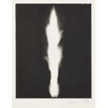 Hiroshi Sugimoto, Japanese b.1948- In Praise of Shadows, 2003; lithograph on wove, signed and