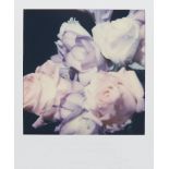 Nobuyoshi Araki, Japanese b.1940- Untitled Polaroid (roses); unique polaroid, signed in black marker