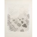 William Tillyer, British b.1938- Garden, 1974; etching in wove, signed, dated, titled and numbered