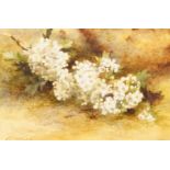 Juliet Knowles, British fl. 1883-1901- Hawthorn Blossom; watercolour, signed, 16 x 23cm. Provenance: