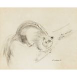 Roland Vivian Pitchforth RA ARWS, British 1895–1982 - Squirrel on a branch; crayon on paper,