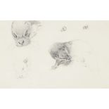 Archibald Thorburn ARA, Scottish 1860-1935 - Otter Studies; pencil on paper, 11.2 x 17.6 cm