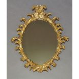 A 19th Century Rococo style gilt framed wall mirror, in the Chippendale style, the top with a