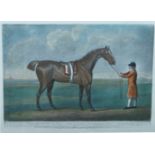 Various Artists, British 19th century- Jockeys with Horses; four etchings in colours on wove, to