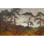 French School, early 20th century- Scots Pine; oil on canvas laid down on board, 18.5 x 29 cm Please