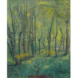 R Fremaux, French, mid-20th century- Woodland scene; black chalk with watercolour, gouache, and