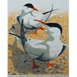 John Tennent, British b.1926- Common Terns, Brownsea Island, and Courtship Flight - Common Terns,