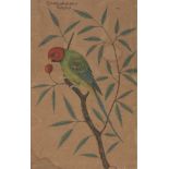 Property from an Important Private Collection A drawing of a parrot, 20th century, opaque pigments