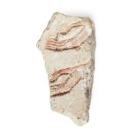 An Egyptian style limestone relief fragment carved with two pairs of hands raised in supplication,