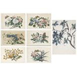Six Chinese gouache paintings on pith paper, late 19th century, studies of flowers and insects,