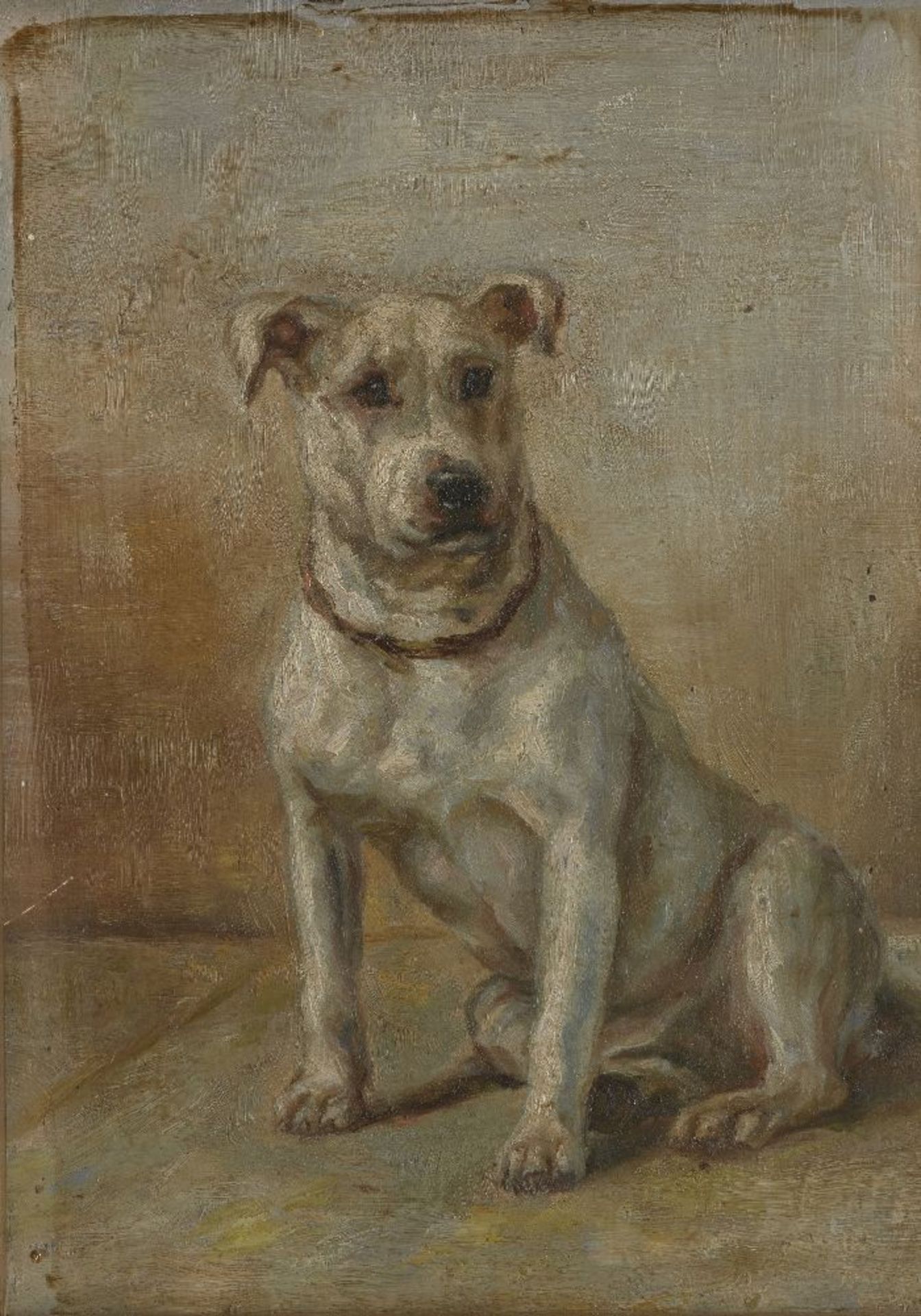 British School, late 19th/early 20th century- Study of a Bull Terrier; oil on panel, 16.5x11.5cm