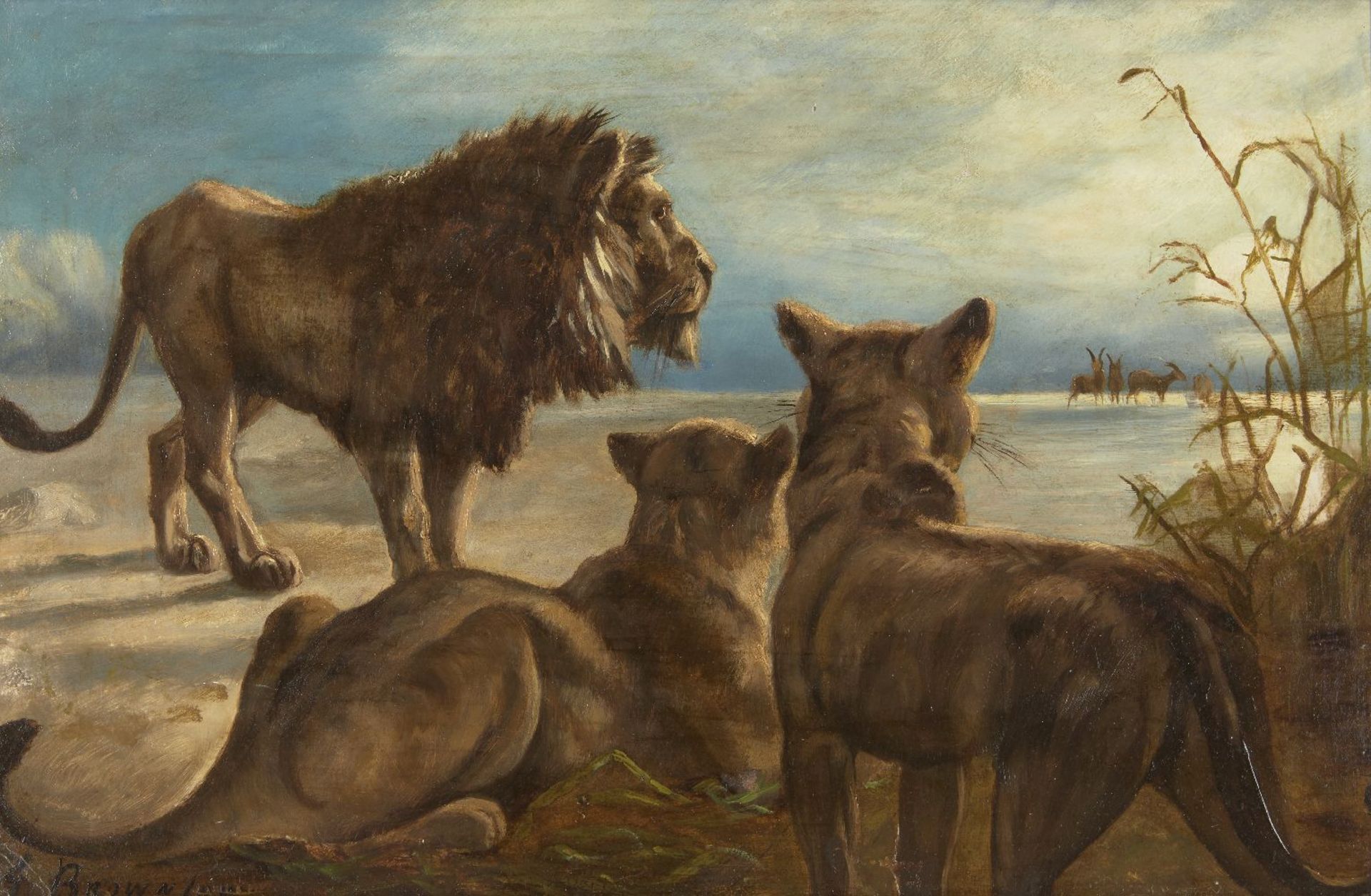 G Brownlaw, British, late 19th/early 20th century- Family of lions near a herd of gazelle; oil on
