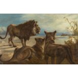 G Brownlaw, British, late 19th/early 20th century- Family of lions near a herd of gazelle; oil on