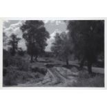 Leonid Nikolaevich Lazarev, Russian b.1937-  Path through the trees; photograph, 43 x 63 cm Please