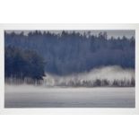 Leonid Nikolaevich Lazarev, Russian b.1937-  Mist in a forest; photograph, 43 x 63 cm Please refer