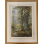 THOMAS TAYLOR-ISLAND (1894-1921) British, Woodland Stream, watercolour, framed and glazed. 35 x 52.